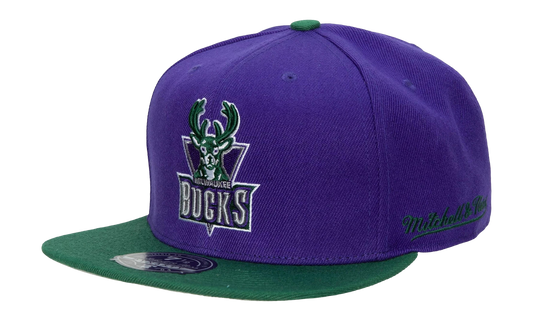 NBA Hardwood Classics Team Side Fitted Cap "Milwaukee Bucks - Purple / Green" 6HSFSH21302 MBUPURP