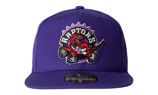NBA Hardwood Classics Team Ground 2.0 Fitted Cap "Toronto Raptors - Purple" HHSF3259 TRAYYPPPPURP