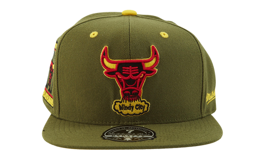 NBA Hardwood Classics Fitted Cap "Chicago Bulls - Olive" 6HSFSH21249 CBUOLIV