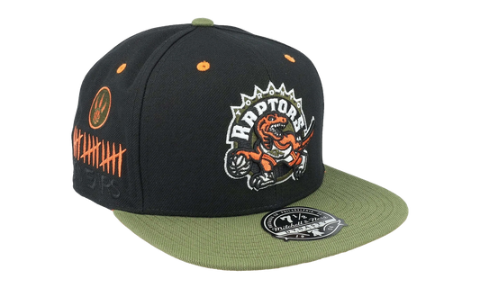 NBA Hardwood Classics Take Flight Fitted Cap "Toronto Raptors - Black / Green" HHSF5082 TRAYYPPPBKGN